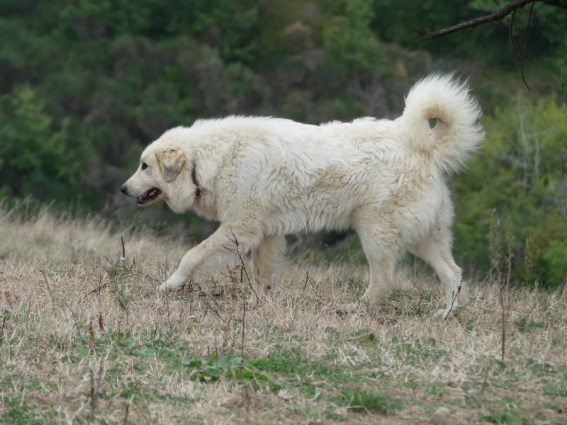 Fontanette apaltasunez